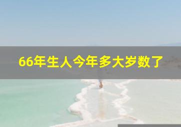 66年生人今年多大岁数了