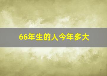 66年生的人今年多大