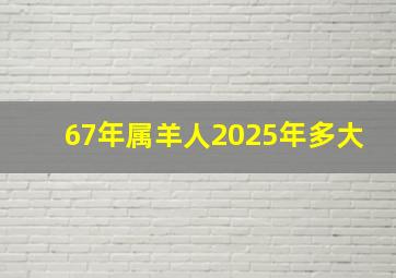 67年属羊人2025年多大