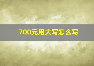 700元用大写怎么写