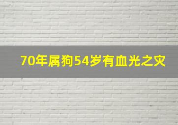 70年属狗54岁有血光之灾