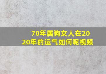 70年属狗女人在2020年的运气如何呢视频