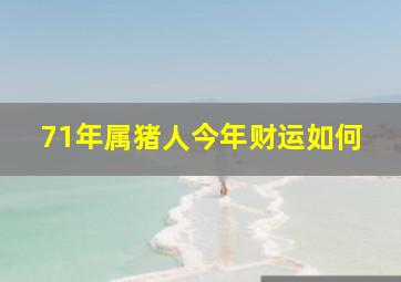 71年属猪人今年财运如何