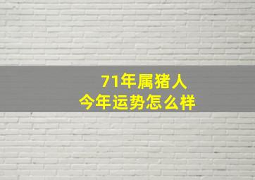 71年属猪人今年运势怎么样