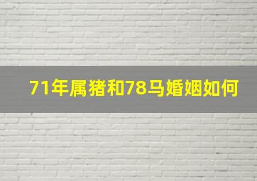 71年属猪和78马婚姻如何