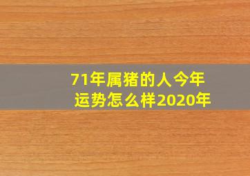 71年属猪的人今年运势怎么样2020年