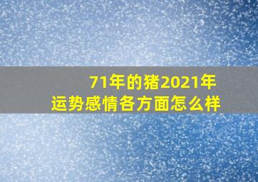 71年的猪2021年运势感情各方面怎么样