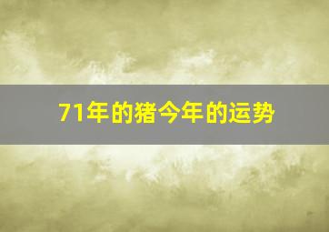 71年的猪今年的运势