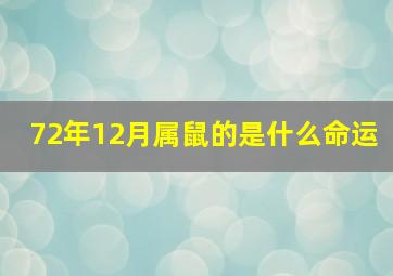 72年12月属鼠的是什么命运