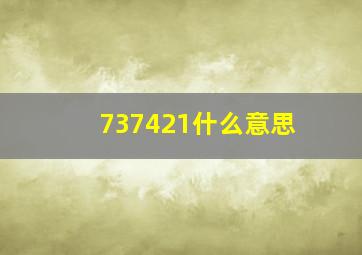 737421什么意思