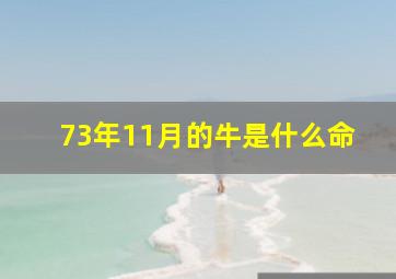 73年11月的牛是什么命