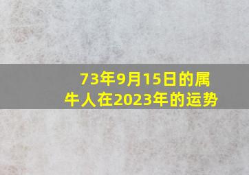 73年9月15日的属牛人在2023年的运势