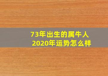 73年出生的属牛人2020年运势怎么样