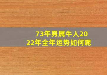 73年男属牛人2022年全年运势如何呢