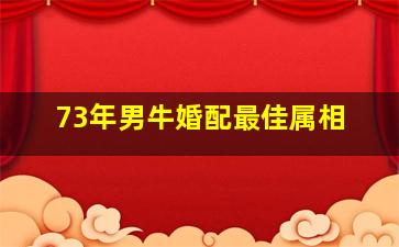 73年男牛婚配最佳属相