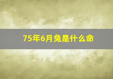 75年6月兔是什么命