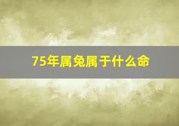 75年属兔属于什么命