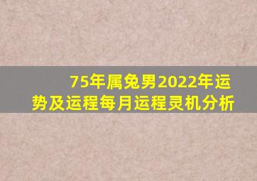 75年属兔男2022年运势及运程每月运程灵机分析