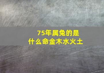 75年属兔的是什么命金木水火土