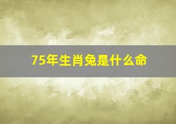 75年生肖兔是什么命