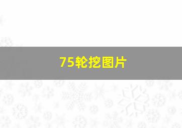 75轮挖图片