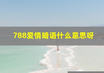 788爱情暗语什么意思呀