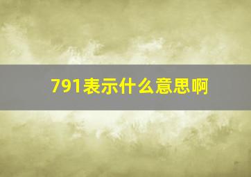 791表示什么意思啊