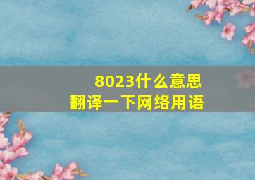 8023什么意思翻译一下网络用语