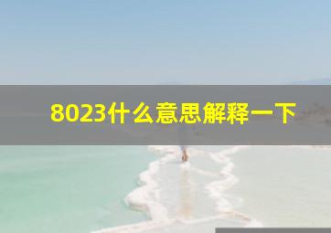 8023什么意思解释一下