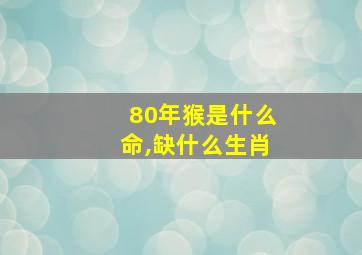 80年猴是什么命,缺什么生肖