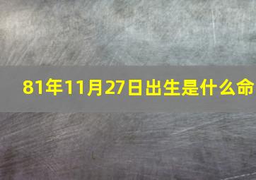 81年11月27日出生是什么命