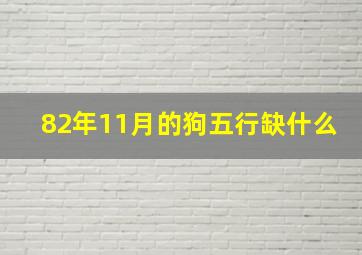 82年11月的狗五行缺什么