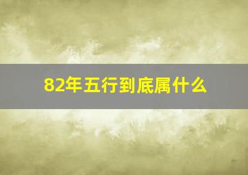 82年五行到底属什么