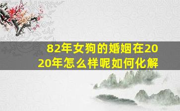 82年女狗的婚姻在2020年怎么样呢如何化解