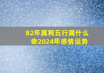 82年属狗五行属什么命2024年感情运势