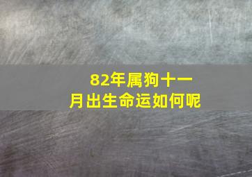 82年属狗十一月出生命运如何呢