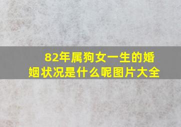 82年属狗女一生的婚姻状况是什么呢图片大全