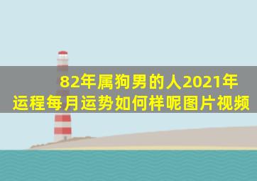 82年属狗男的人2021年运程每月运势如何样呢图片视频