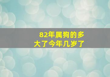 82年属狗的多大了今年几岁了