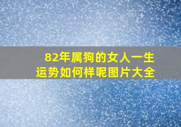 82年属狗的女人一生运势如何样呢图片大全