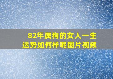 82年属狗的女人一生运势如何样呢图片视频