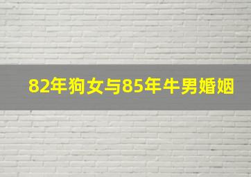 82年狗女与85年牛男婚姻