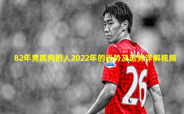 82年男属狗的人2022年的运势及运势详解视频