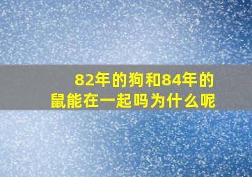 82年的狗和84年的鼠能在一起吗为什么呢