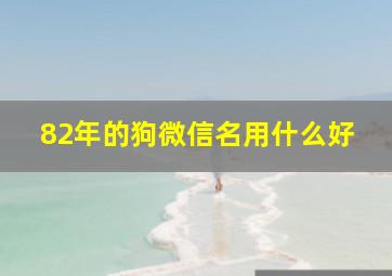 82年的狗微信名用什么好