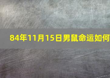 84年11月15日男鼠命运如何