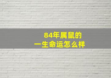 84年属鼠的一生命运怎么样