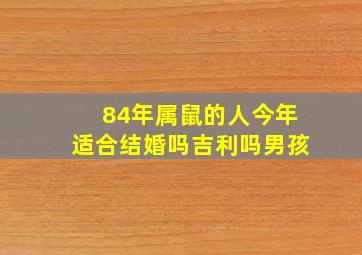 84年属鼠的人今年适合结婚吗吉利吗男孩