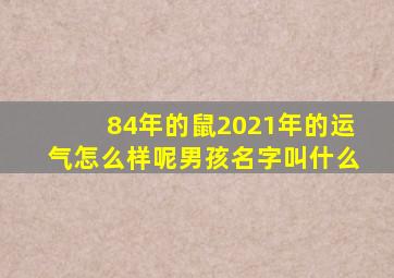 84年的鼠2021年的运气怎么样呢男孩名字叫什么