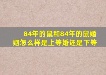 84年的鼠和84年的鼠婚姻怎么样是上等婚还是下等